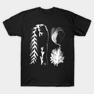 Botanical Seaweed Kelp T-Shirt